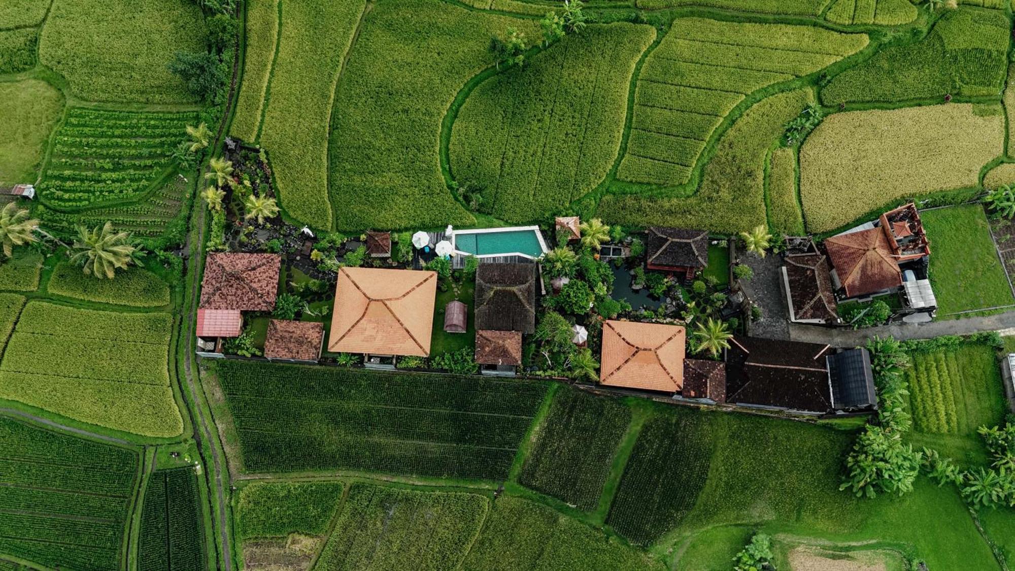Billys Ayodya Villa Perean Екстер'єр фото